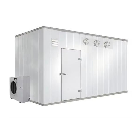 Bitzer-Kompressor Kleines Großflächiges Kühlzimmer Lagerplatten Frischhalter Container Medizinische Hotels Neues Bauen Pro
