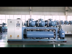 Hochleistungs kombinierte Schraubluftdruckmechanismus kundenspezifische Verkäufe für Kondensationseinheiten Kühlung